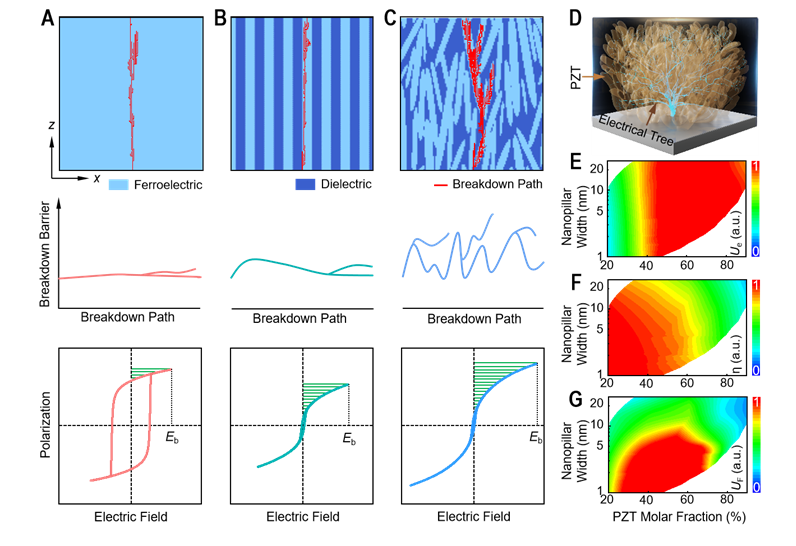 ▲ DNP 结构设计与预测
