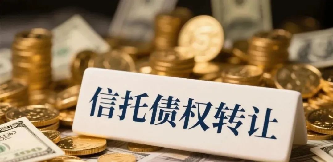 开端丨上海相信圈