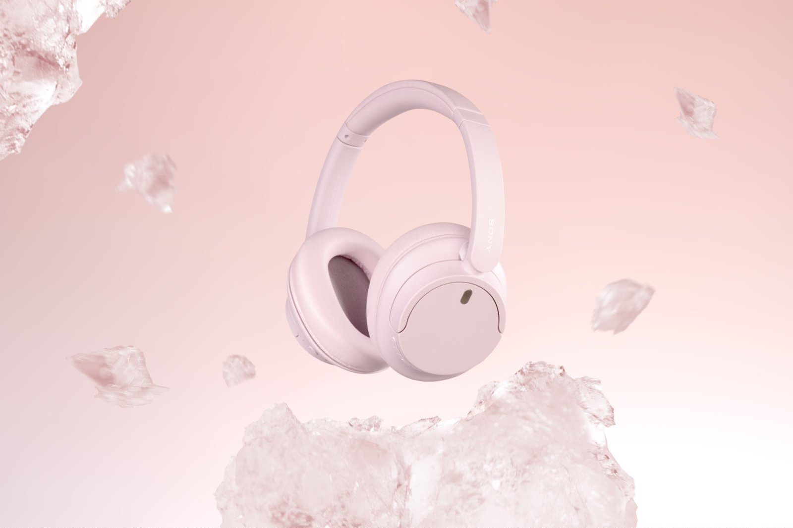 明媚粉色 元气入场