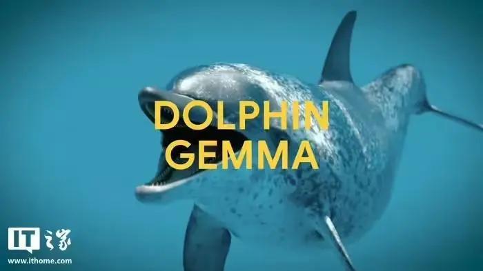 Google DeepMind将开发Dolphatingemma AI模型,以帮助海豚