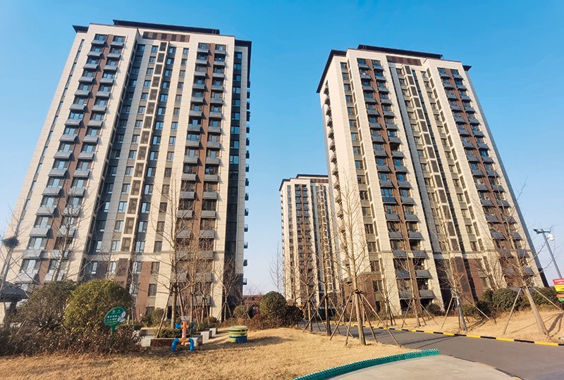 山东省青岛西海岸新区王台街道郎中沟村（2025 年 2 月 10 日摄）   王凯摄 / 本刊