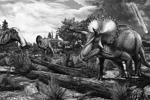 图片来源：Davide Bonadonna