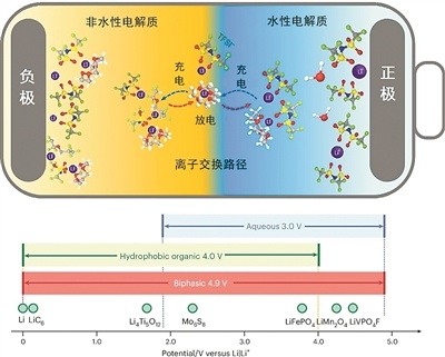 锂离子载体双相电解质设计图。 图片来源：《自然·纳米技术》