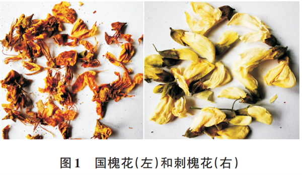 图片来源参考文献4