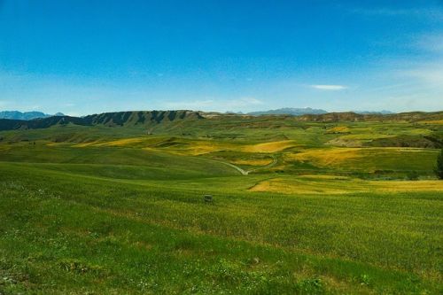 （图片来源于网络，如有侵权请联系删除）