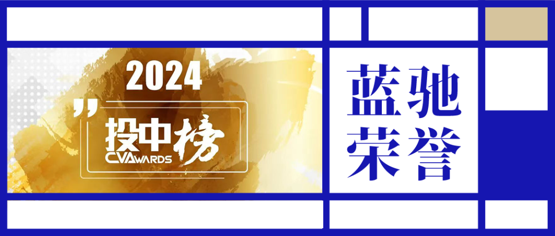 Lanchi Venture Capital赢得了2024年最佳投资机构的“投