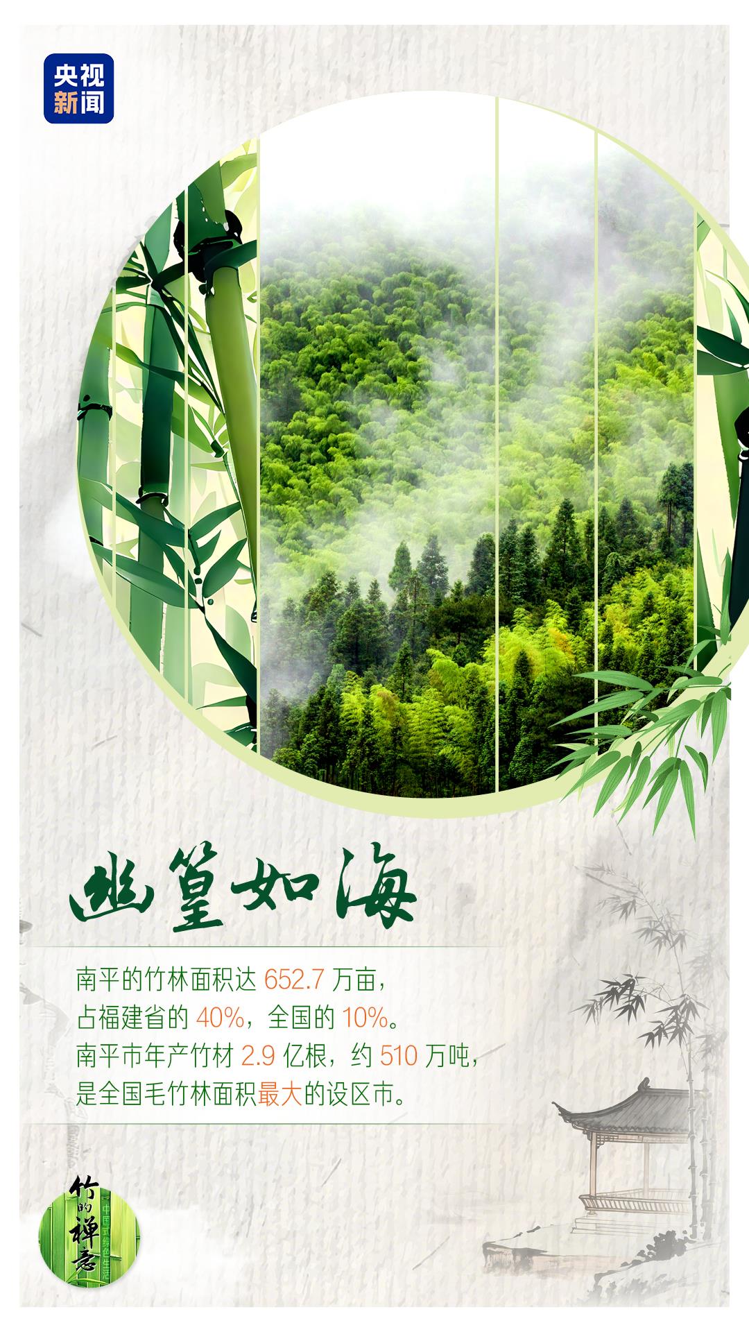 何以中国|从竹子“七十二变”看竹乡绿色变迁|中国_新浪财经_新浪网
