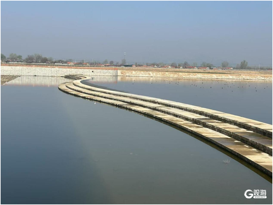 小沽河新建拦河堰-水源利用工程。