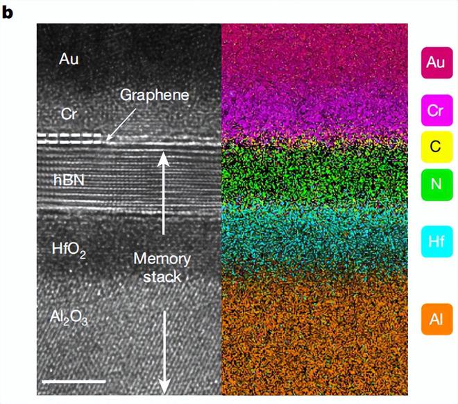 （来源：Nature）