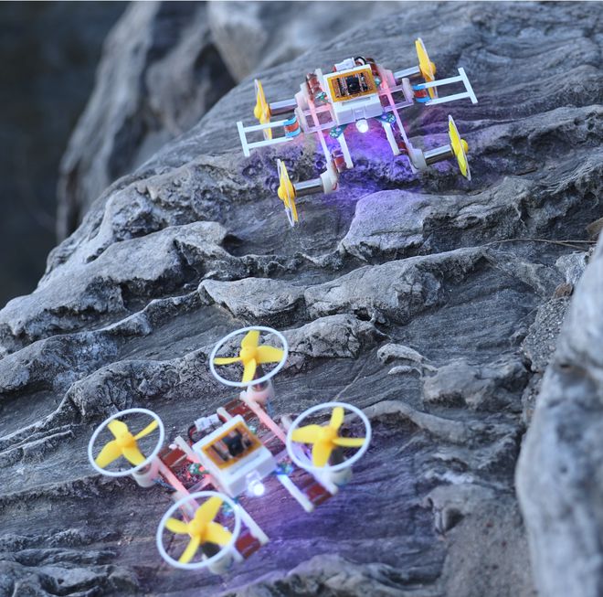 图为微型无线陆空两栖机器人