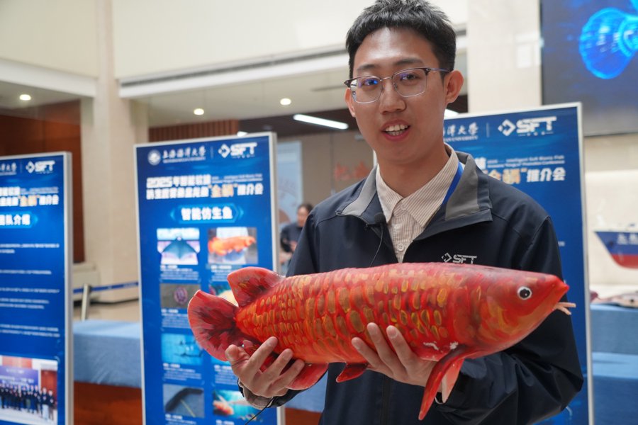 团队成员介绍“金鳞”