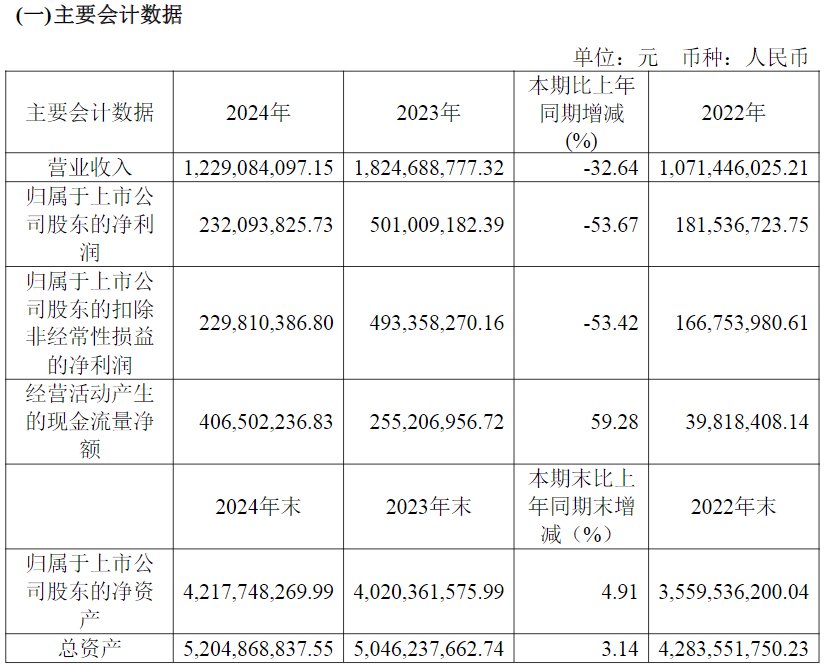 2024年年报截图
