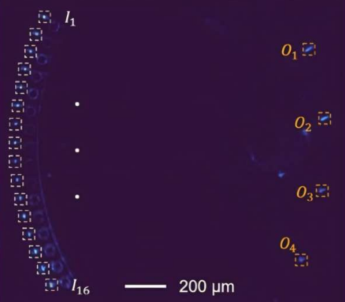 可编程芯片首次使用光训练神经网络