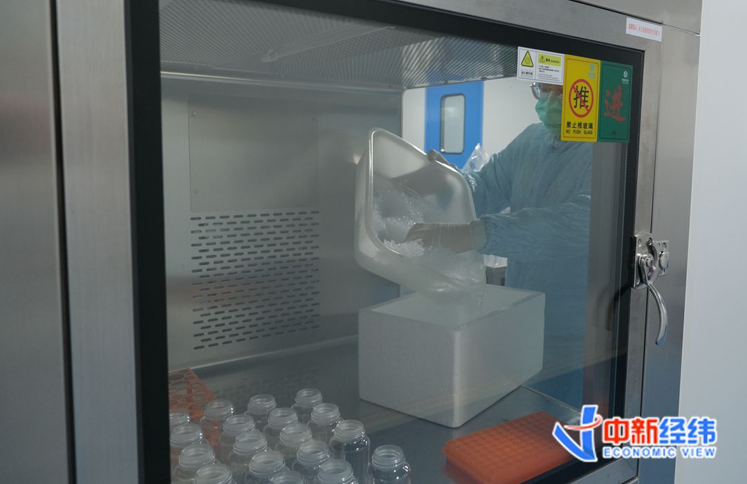 华清智美产品生产过程 中新经纬张嘉怡摄