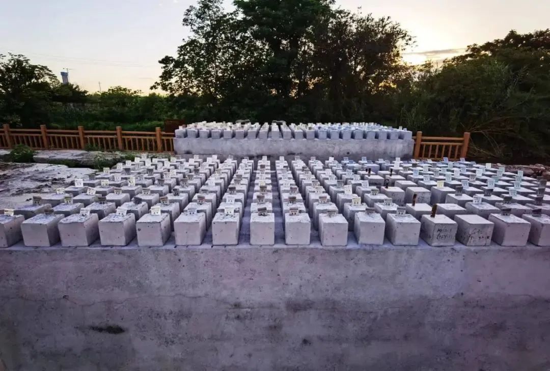 图1  稀土耐蚀钢筋混凝土试样的大气暴露实验