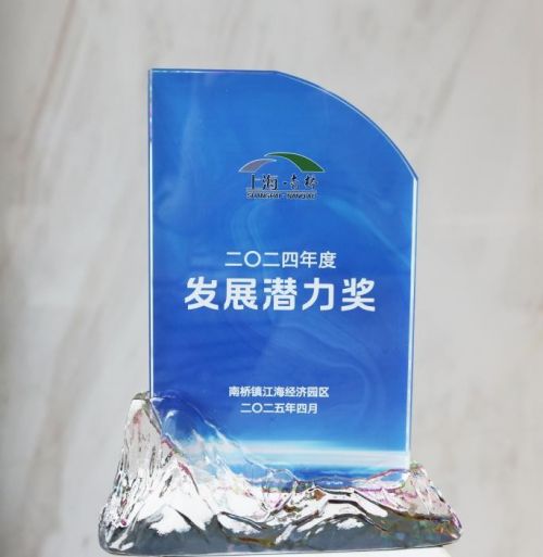 南桥镇江海经济园区经济工作大会-蚂蚁HR-01