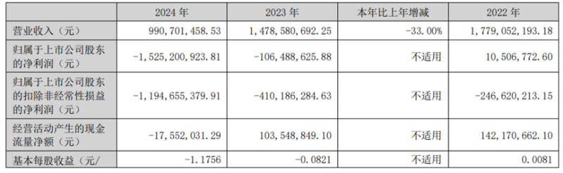 （来源：海南海药年报）