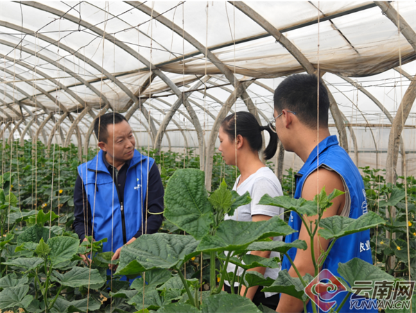 　农业技术服务到田间地头