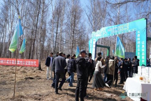 Jiufeng Mountain Heart-Alus Valley֭̽ʹȻΪе