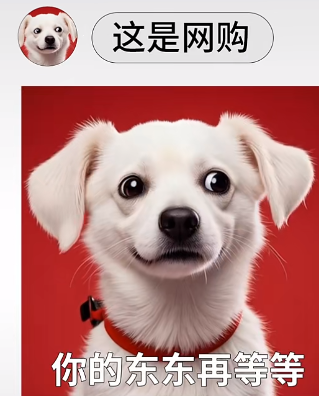 美团闪购视频号画面