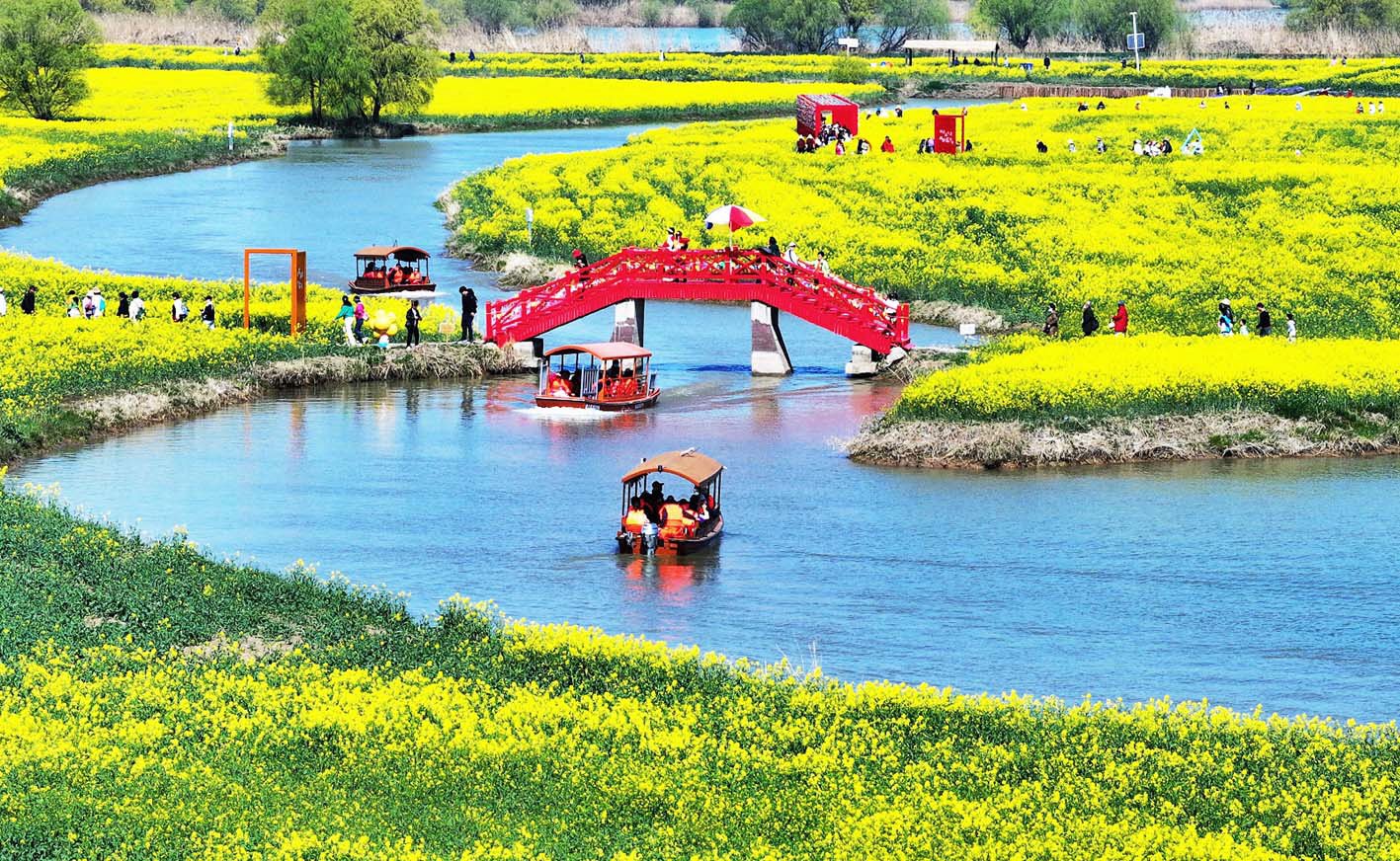 湖上花海景如画。 资料图片