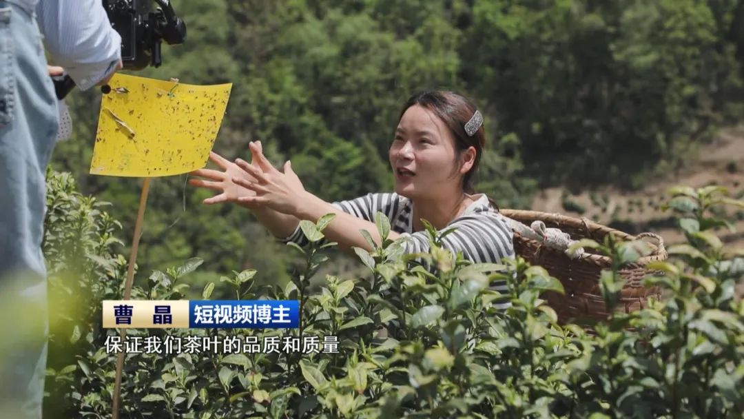 短视频博主 曹晶　