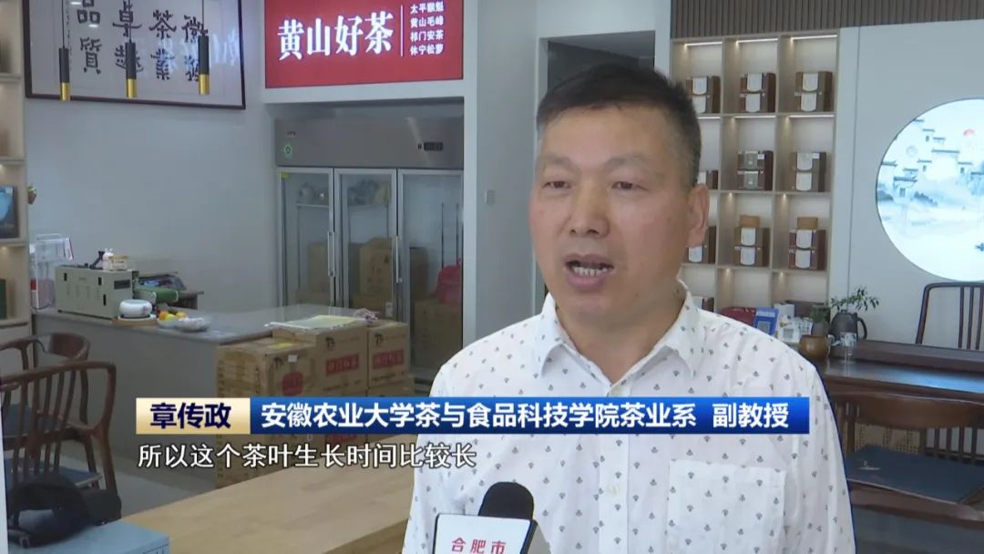 安徽农业大学茶与食品科技学院茶业系副教授 章传政