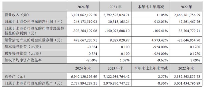 KANGDA新材料的2024财务报告：收入为31.1亿元人民币