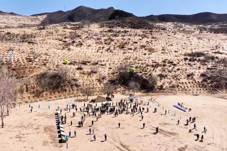 图注：2025蚂蚁森林春种活动现场