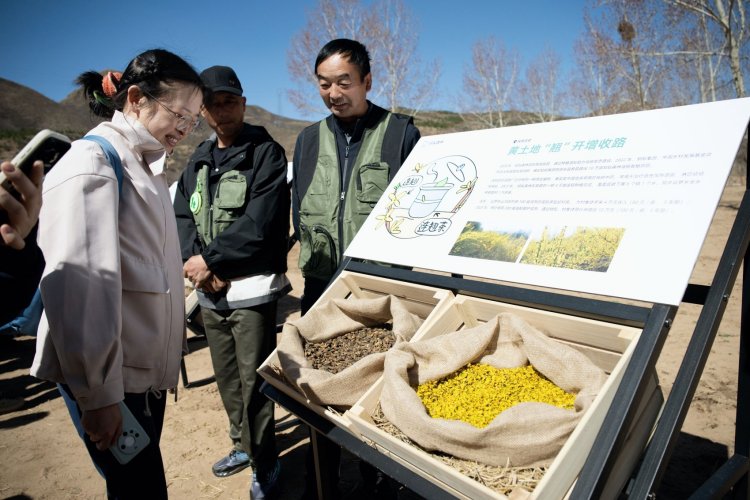 图注：种树人现场“带货”介绍蚂蚁森林经济作物