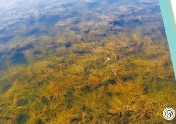 内蒙古巴彦淖尔市自然资源局供图