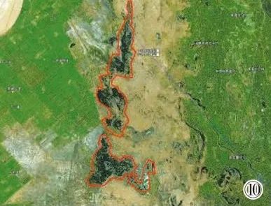 新疆阿克苏地区自然资源局供图