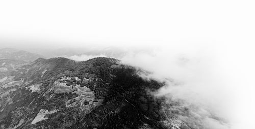 云海下的戈奎乡格马村茶园