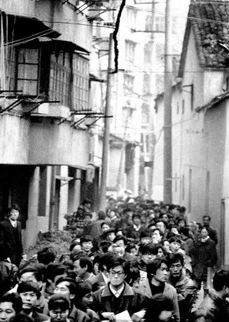 照片来源：浙江在线