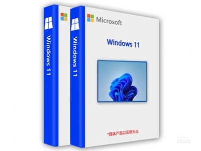 图为：Microsoft Windows 11