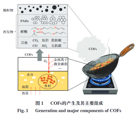 图：参考文献[6]