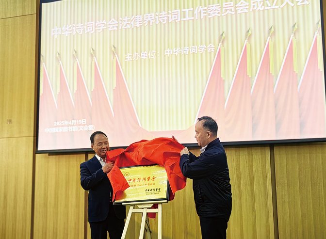 尹丽 摄
