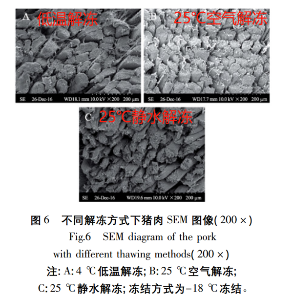 图：参考文献[5]