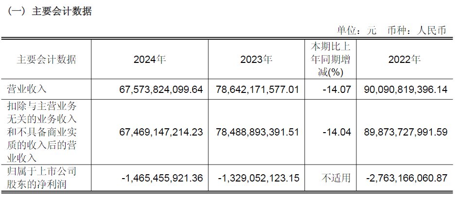公司2024年年报截图