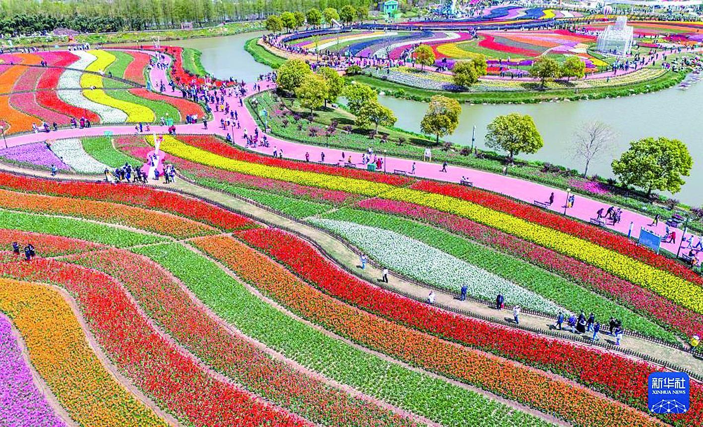 ▲游客在江苏省盐城市大丰区荷兰花海景区内赏花游玩 新华社发