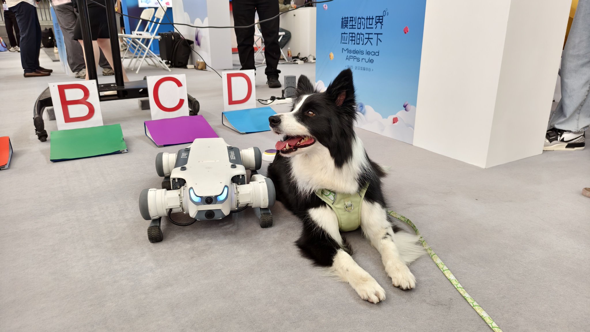 时代周报记者现场摄