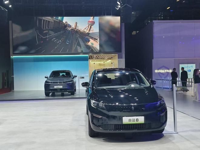 睿蓝展台 图源：观察者网