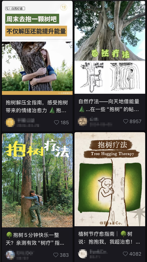 图源：某社交平台