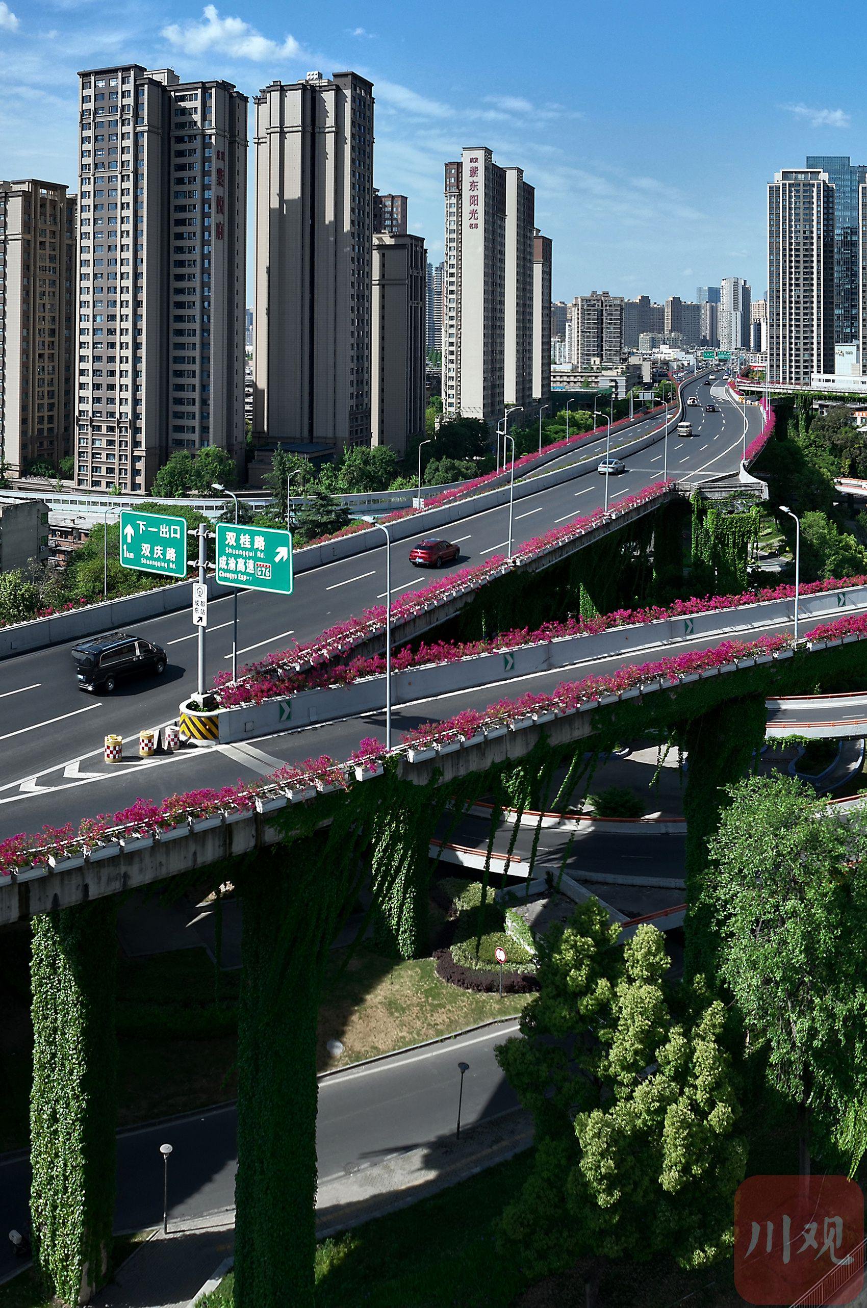 成都二环高架双桥子立交桥上的花卉景观