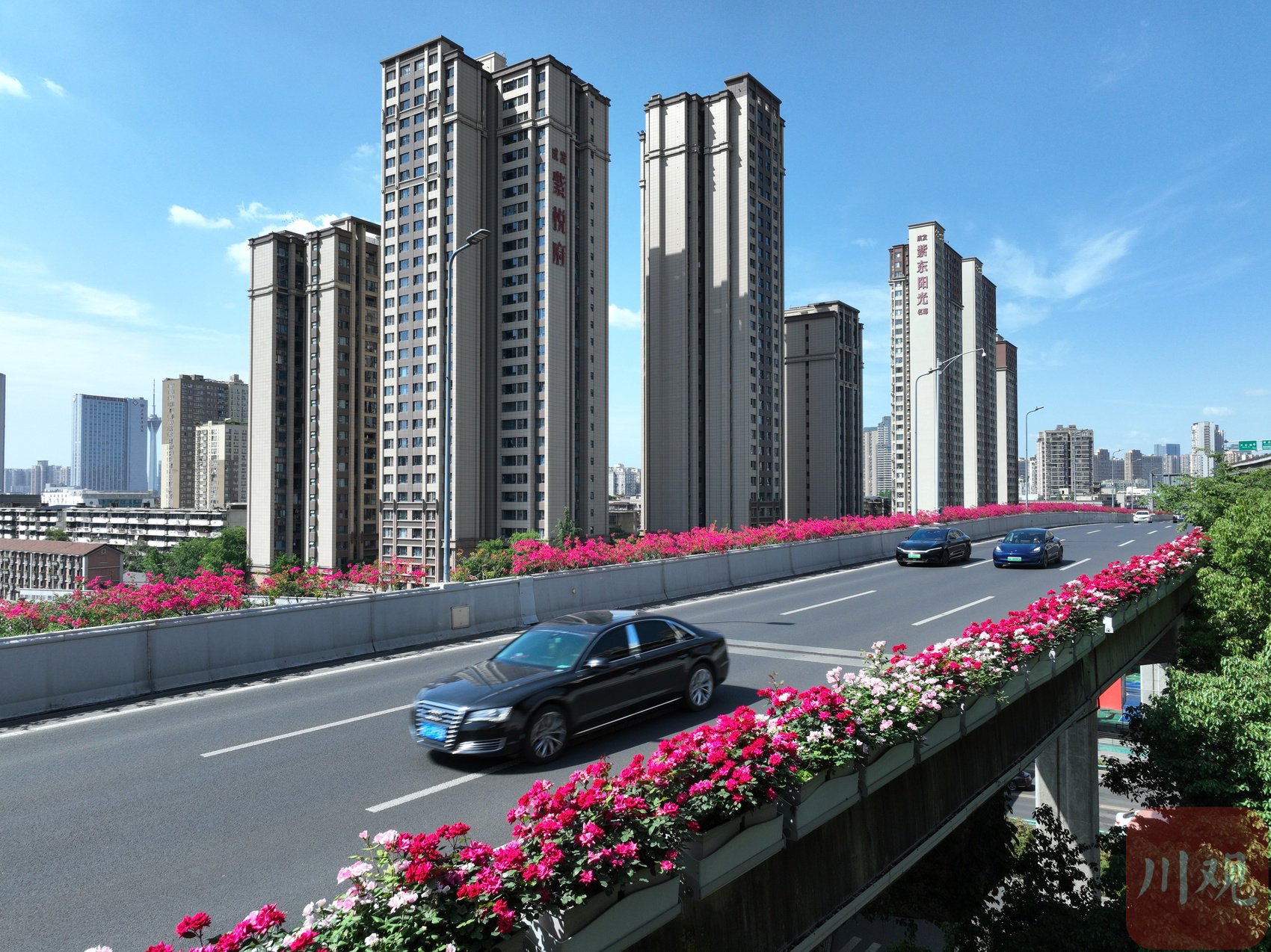 成都二环高架双桥子立交桥上的花卉景观