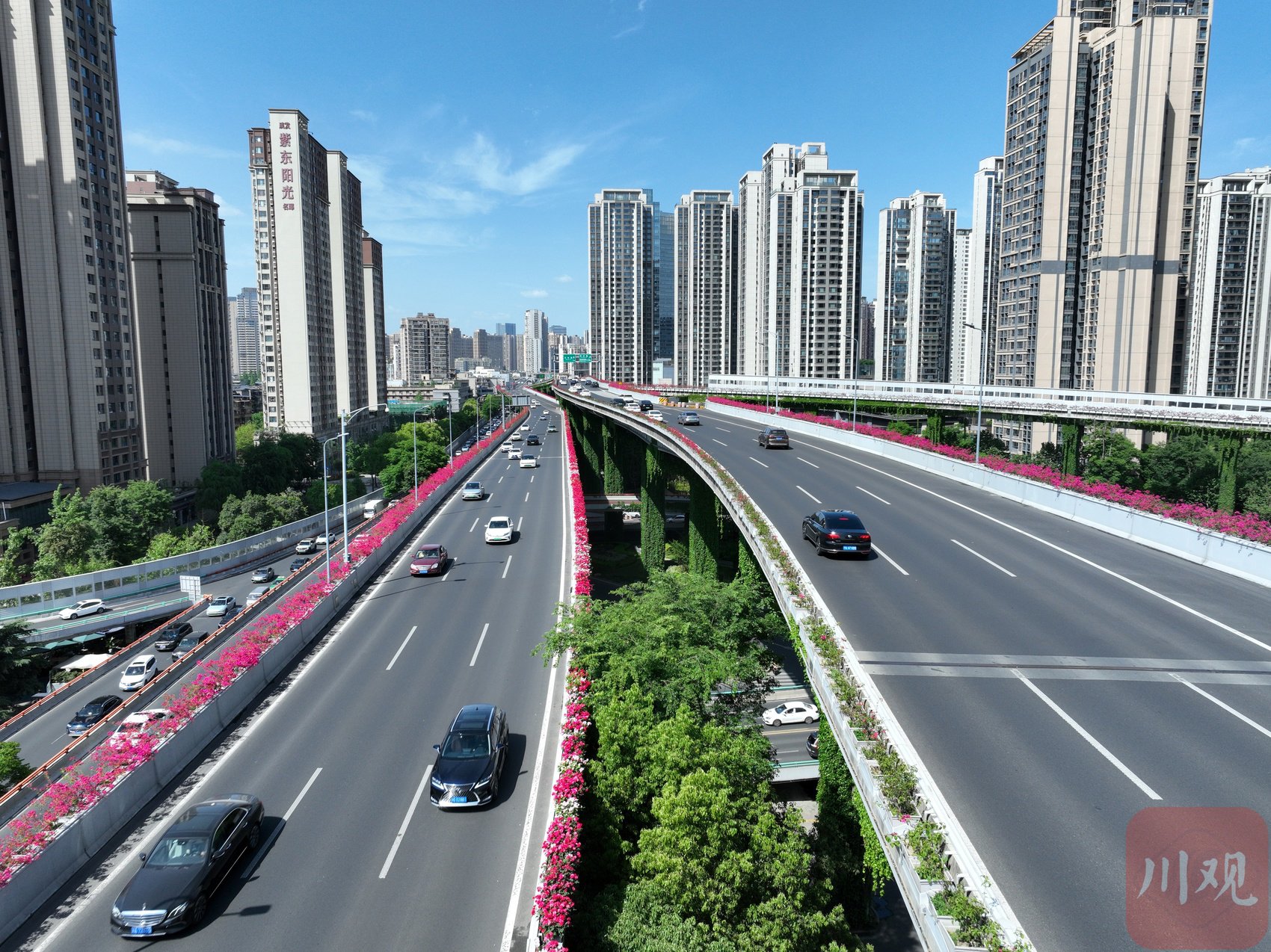 成都二环高架双桥子立交桥上的花卉景观