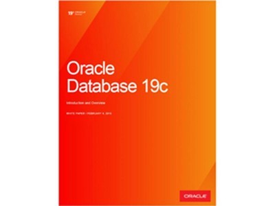 图为：Oracle ORACLE Database 19C 标准版 