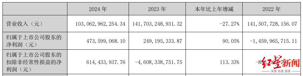 图源新希望2024年年报