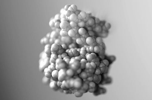 图片来源：IAN C. HAYDON