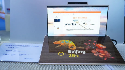 ▲图源：DIC EXPO 2024维信诺展台现场